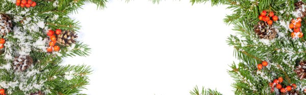 Сокол ресторан Саратов