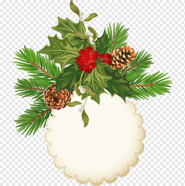 Елочная ветка