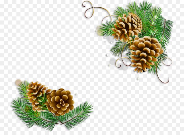 Елочка с шишками рамка