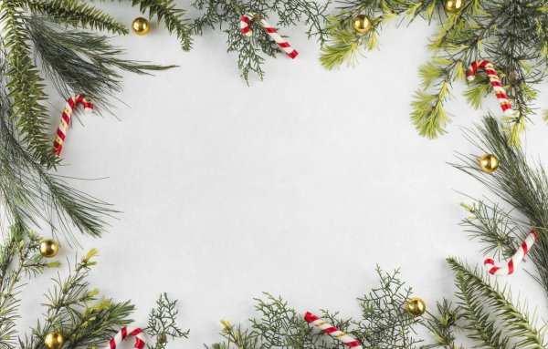 Новогодние еловые ветки