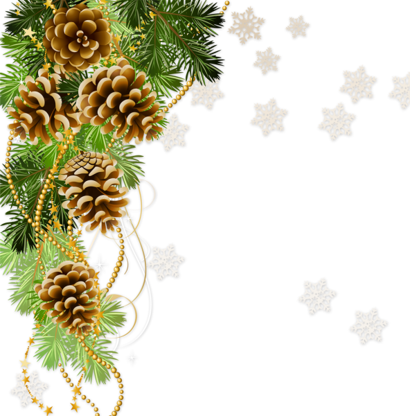 Новогодняя ветка с шишками на прозрачном фоне