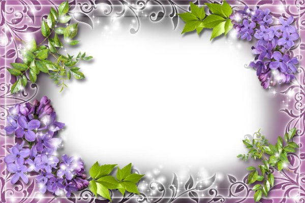 Рамка для текста сирень