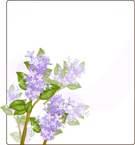 Рамка сирень на прозрачном фоне