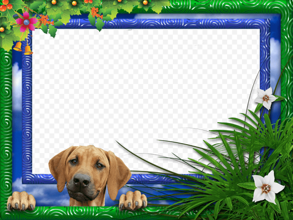 Рамка с собаками