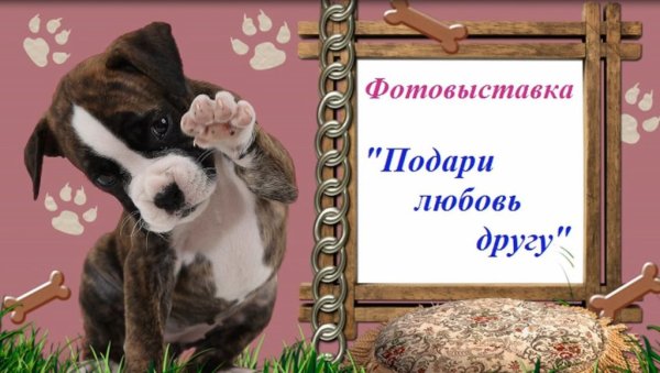 Прикольные рамки для фотографий