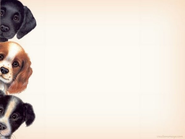 Фон для презентации с животными