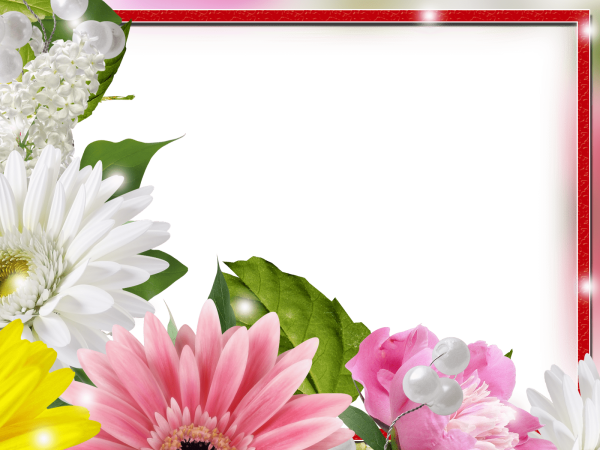 Рамка цветы хризантемы