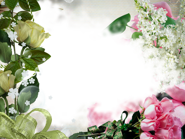 Красивые цветочные фоны для поздравительных открыток