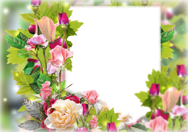 Красивая рамка с цветами