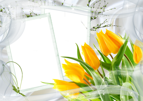 Рамка тюльпаны