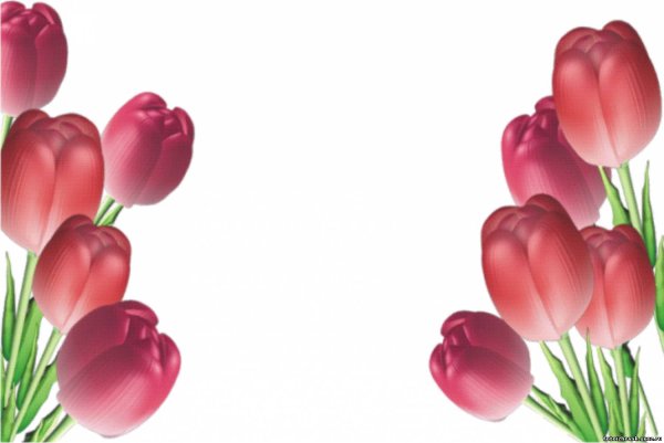 Фоторамка "тюльпаны"