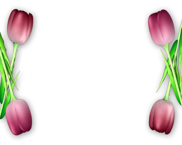 Фоторамка "тюльпаны"