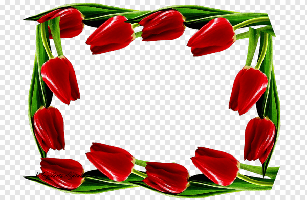 Цветочная рамка тюльпаны