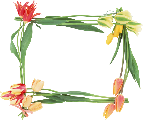 Рамка из цветов