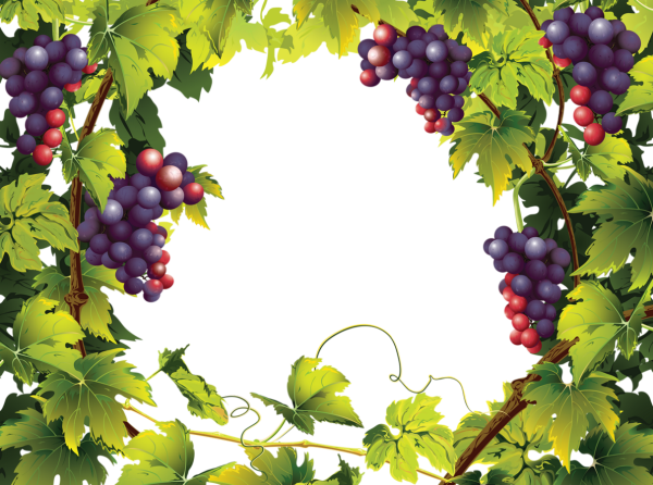 Фоторамка виноград