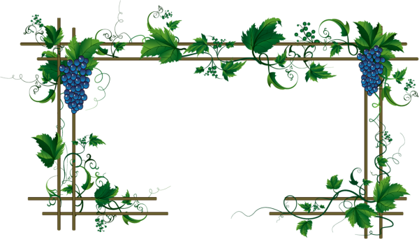 Рамка Виноградная лоза