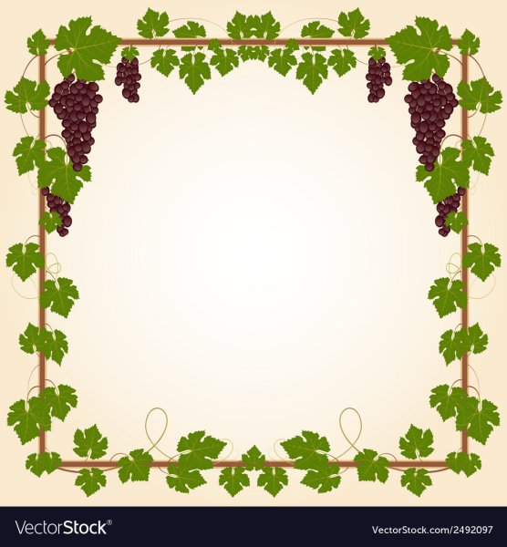 Рамка с виноградниками