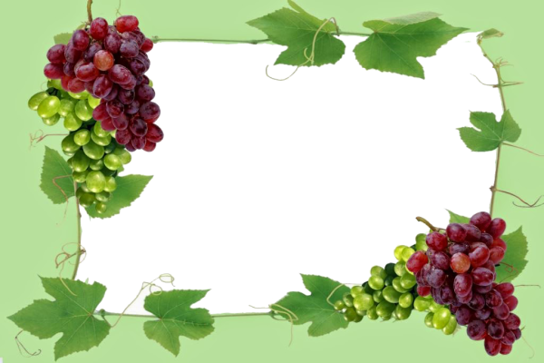 Рамка Виноградная лоза