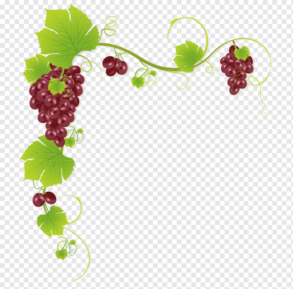 Рамка Виноградная лоза