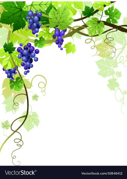 Фоторамка виноград