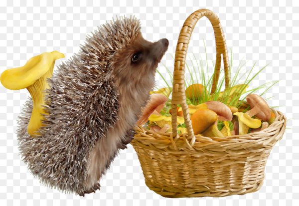 Ежик и грибочек