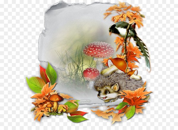 Ежик с осенними листьями и грибами