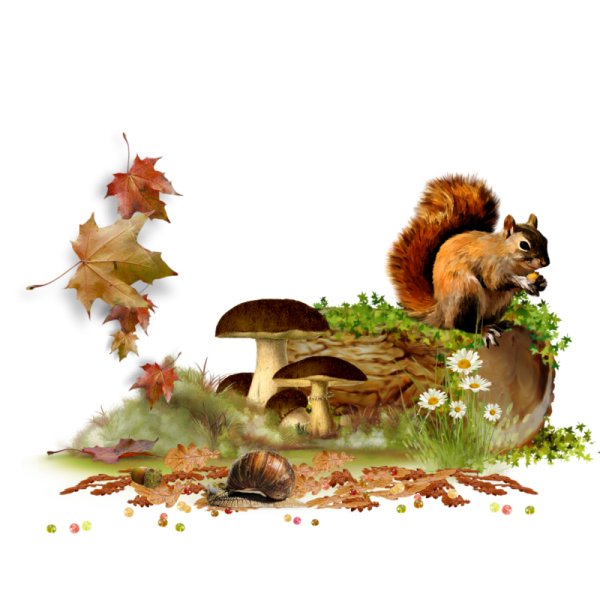 Полянка осенняя прозрачный фон