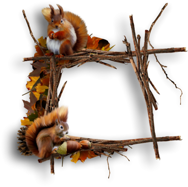 Рамка с белками