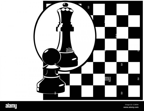 Шахматы в зеркале