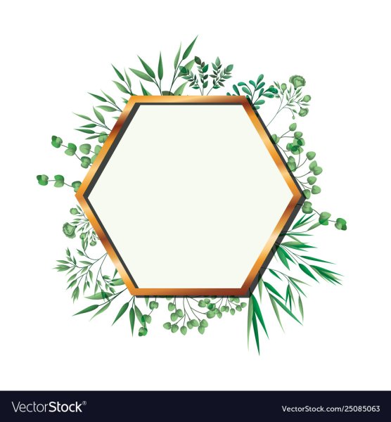 Рамка золото шестигранник