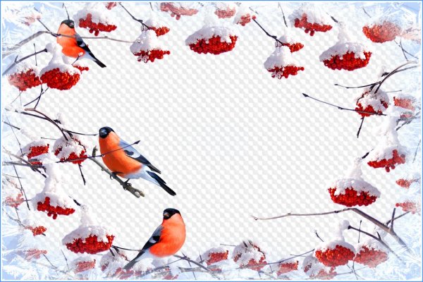 Рамка птицы зимой
