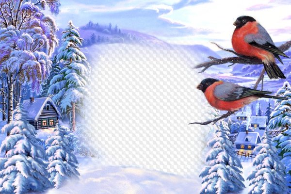 Рамки для фотографий Снегири