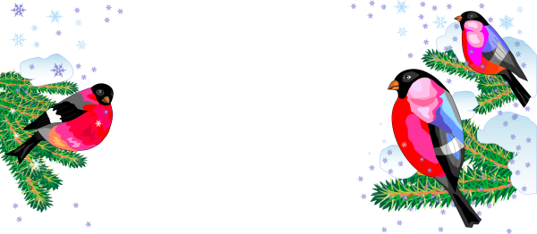 Снегири на ветке на прозрачном фоне