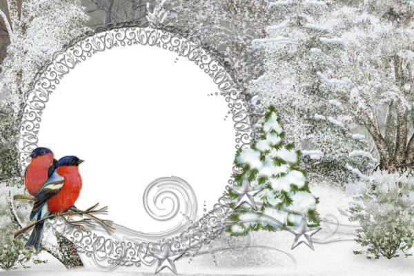 Зимняя рамка с птицами