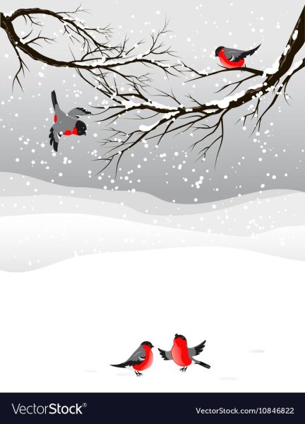 Фон зимний с птицами для текста