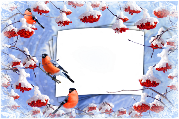 Зимняя рамка для текста