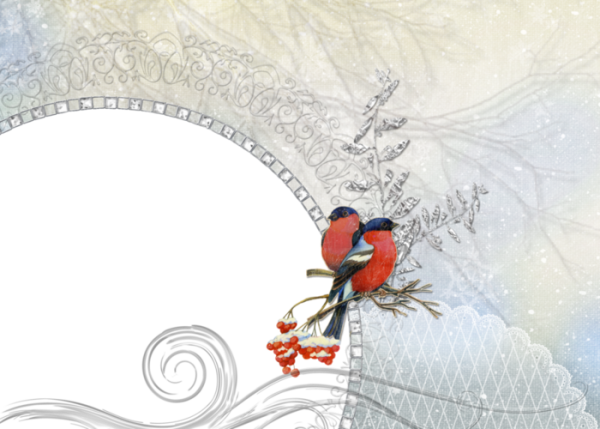 Зимняя рамка со снегирями