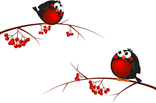 Снегирь вектор