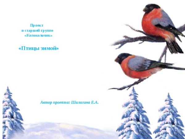 Рамка зимующие птицы