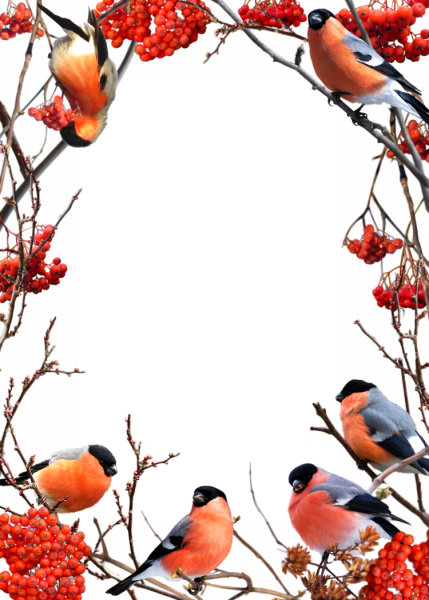 Рамка Снегири