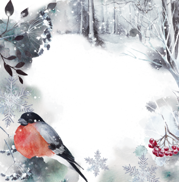 Рамка зимующие птицы