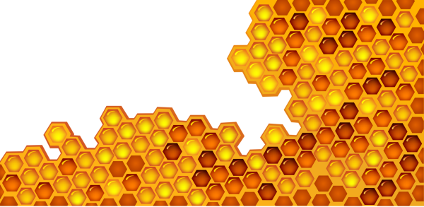 Соты вектор