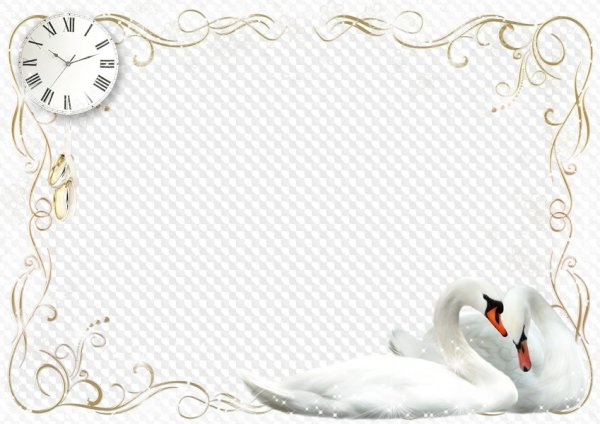 Свадебная рамка для фотошопа на прозрачном фоне