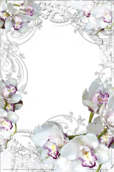 Фоторамка с орхидеями