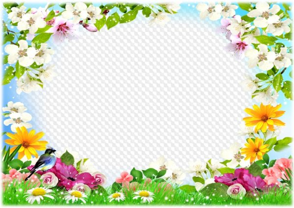 Летняя рамка