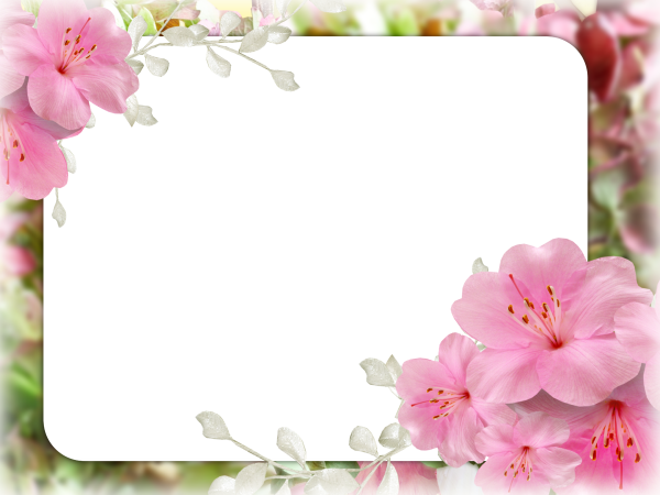 Красивый фон для поздравления