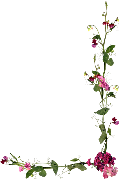 Цветочные уголки на прозрачном фоне