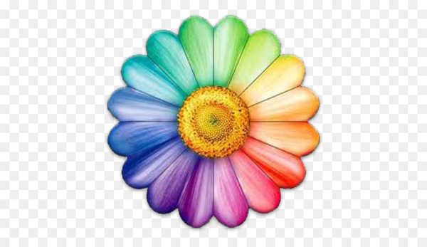 Ромашка с лепестками для конкурса