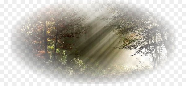 Пейзажи с размытыми краями