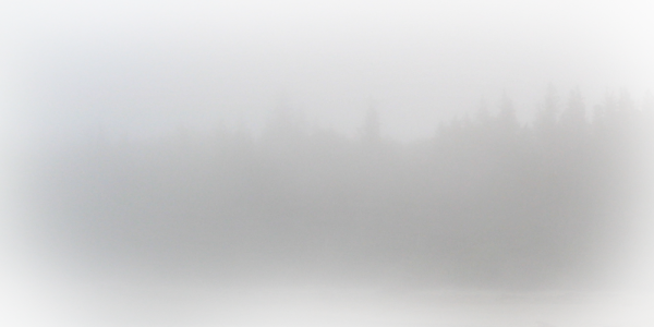 Прозрачный туман